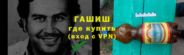 индика Богородск