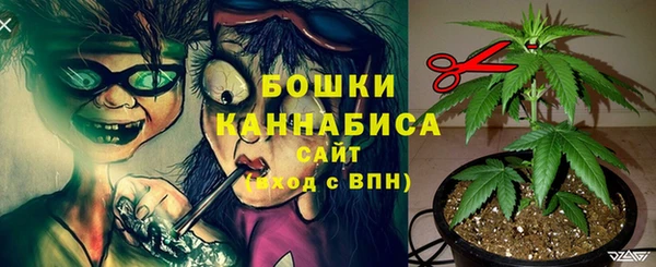 индика Богородск