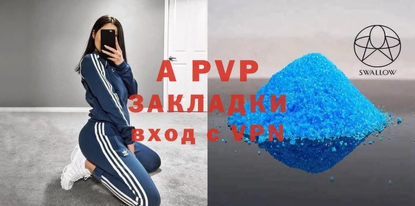 индика Богородск