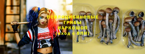 индика Богородск