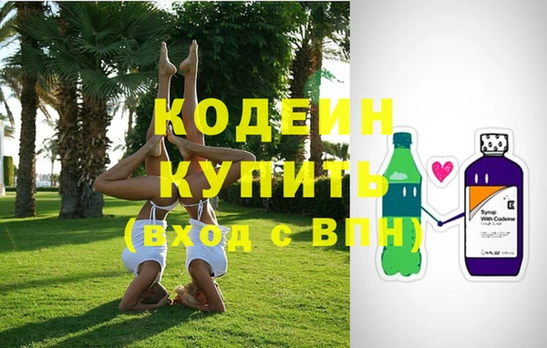 индика Богородск