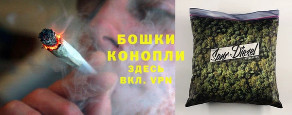 индика Богородск