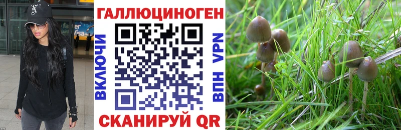 Галлюциногенные грибы ЛСД  как найти наркотики  Буинск 
